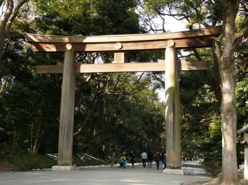 MARATONA DI TOKYO 2015 2013